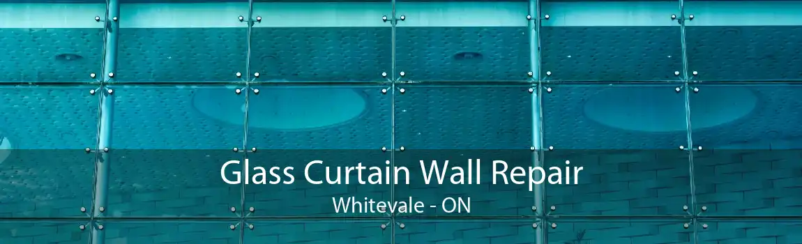 Glass Curtain Wall Repair Whitevale - ON