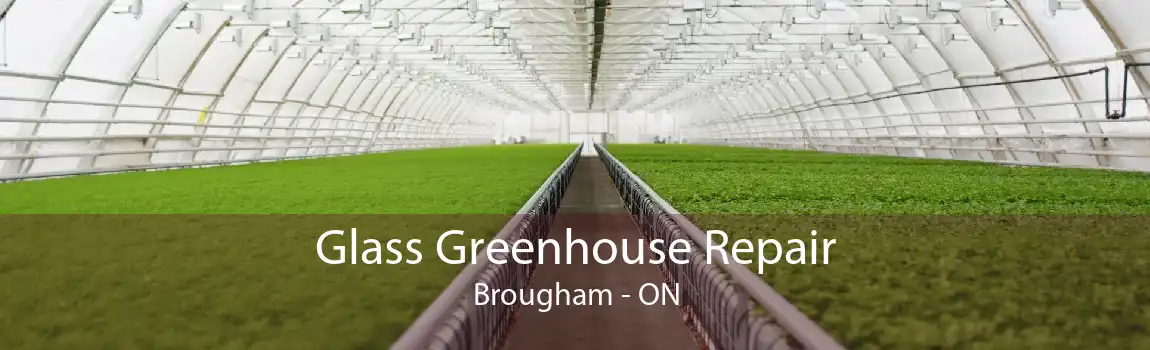 Glass Greenhouse Repair Brougham - ON