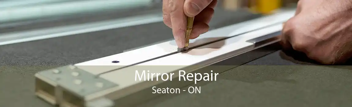 Mirror Repair Seaton - ON