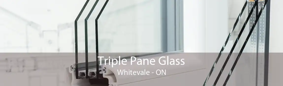 Triple Pane Glass Whitevale - ON