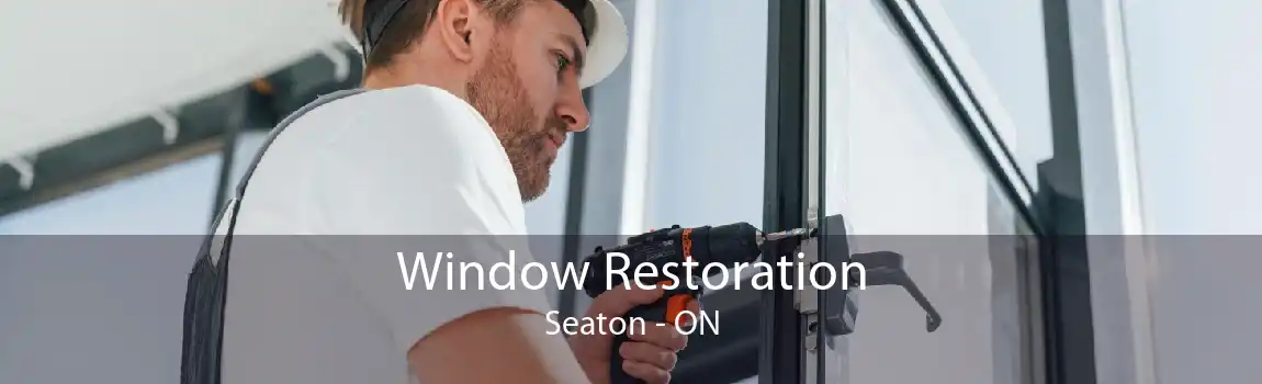 Window Restoration Seaton - ON