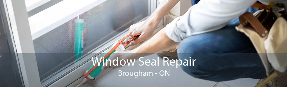 Window Seal Repair Brougham - ON
