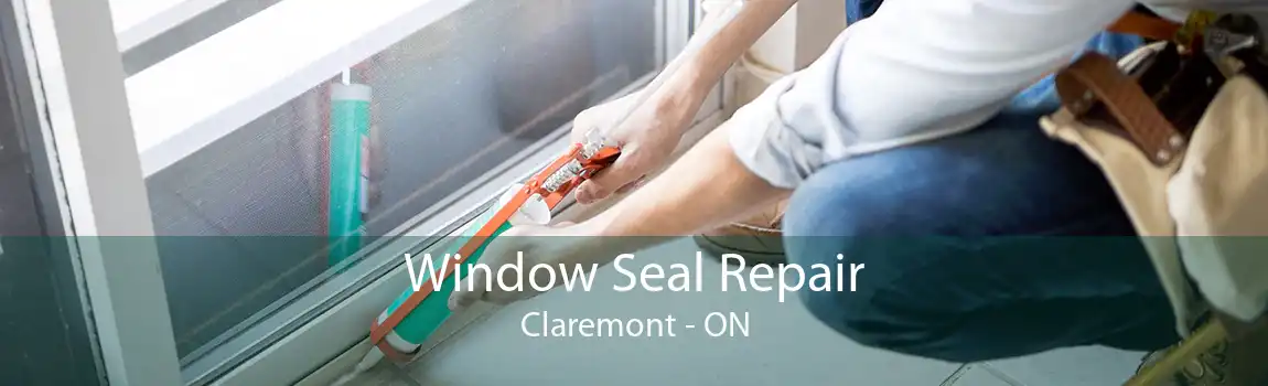 Window Seal Repair Claremont - ON