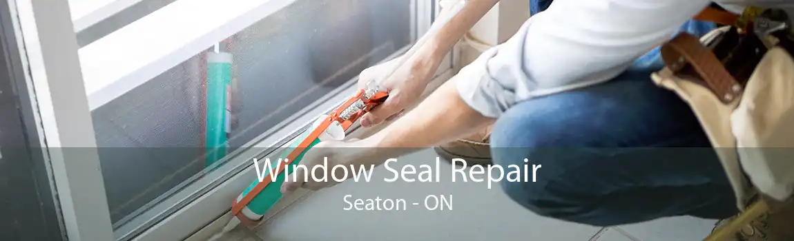 Window Seal Repair Seaton - ON